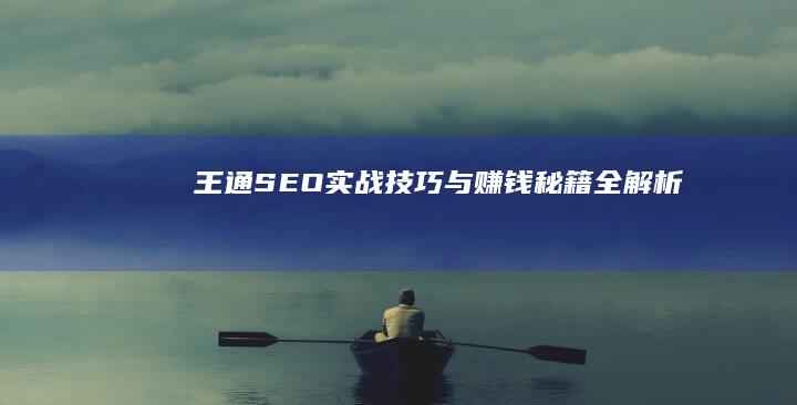 王通SEO实战技巧与赚钱秘籍全解析